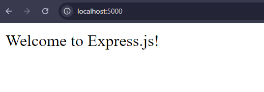 Express setup project output